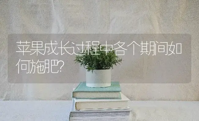 苹果成长过程中各个期间如何施肥？ | 果木种植