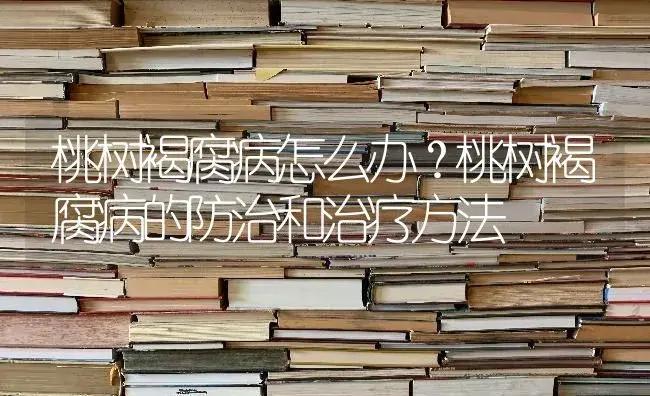 桃树褐腐病怎么办？桃树褐腐病的防治和治疗方法 | 果木种植