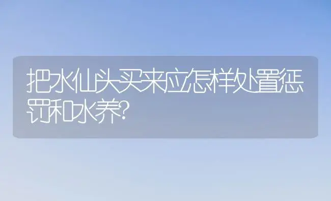 把水仙头买来应怎样处置惩罚和水养? | 家庭养花