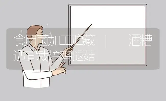 酒糟适宜栽培鸡腿菇 | 菌菇种植