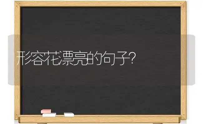 形容花漂亮的句子？ | 绿植常识