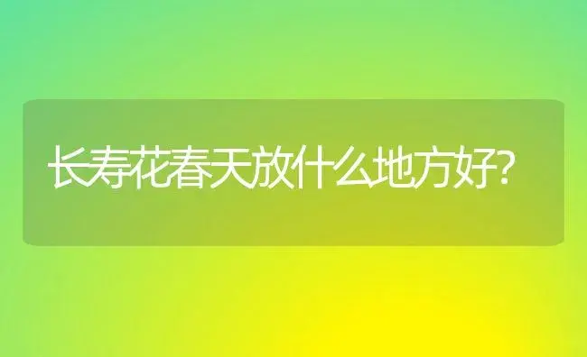 长寿花春天放什么地方好？ | 多肉养殖