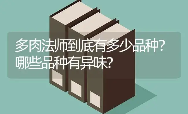 多肉法师到底有多少品种？哪些品种有异味？ | 多肉养殖