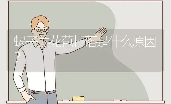蝎子兰花苞掉落是什么原因？ | 多肉养殖