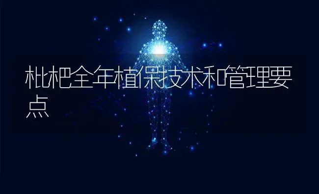 枇杷全年植保技术和管理要点 | 特种种植