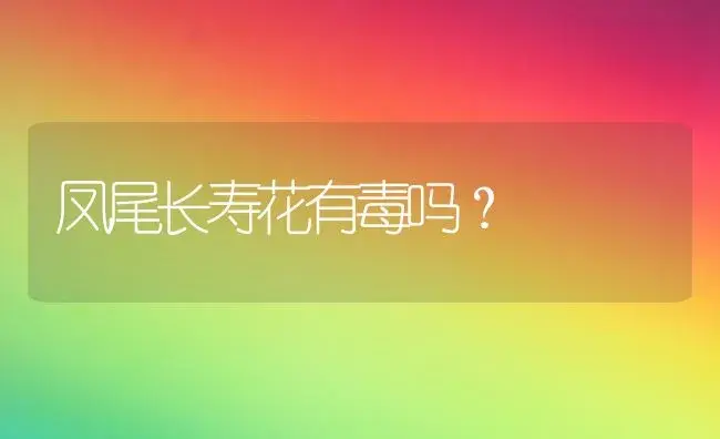 凤尾长寿花有毒吗？ | 多肉养殖