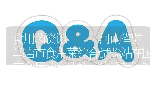 河南省驻马店市食用菌综合试验站在国家食用菌产业技术体系2021年度考评中名列第一 | 菌菇种植