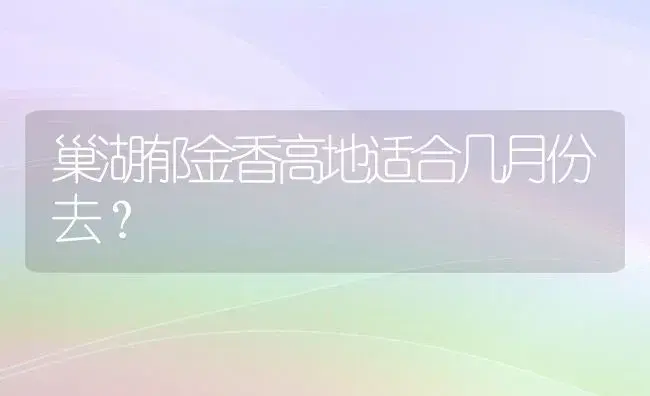 巢湖郁金香高地适合几月份去？ | 绿植常识