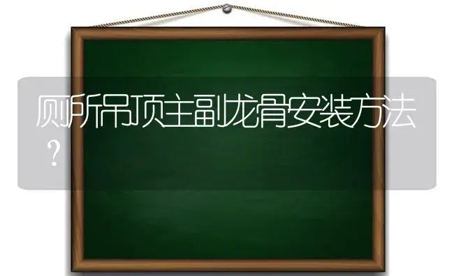 厕所吊顶主副龙骨安装方法？ | 多肉养殖