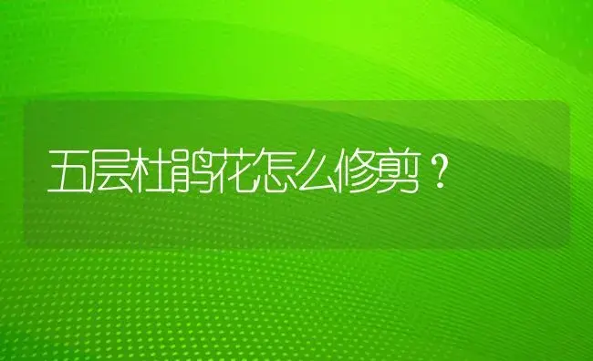 五层杜鹃花怎么修剪？ | 绿植常识