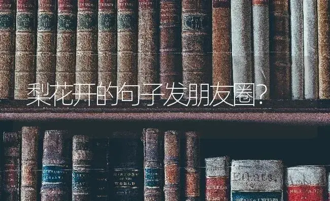 梨花开的句子发朋友圈？ | 绿植常识