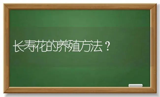 长寿花的养殖方法？ | 多肉养殖