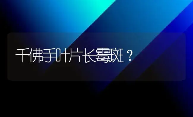 千佛手叶片长霉斑？ | 多肉养殖