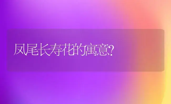 凤尾长寿花的寓意？ | 多肉养殖