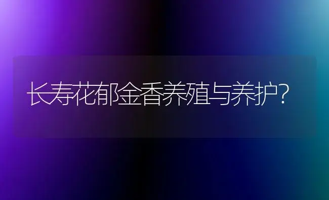 长寿花郁金香养殖与养护？ | 绿植常识