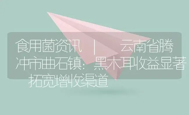 云南省腾冲市曲石镇：黑木耳收益显著 拓宽增收渠道 | 菌菇种植