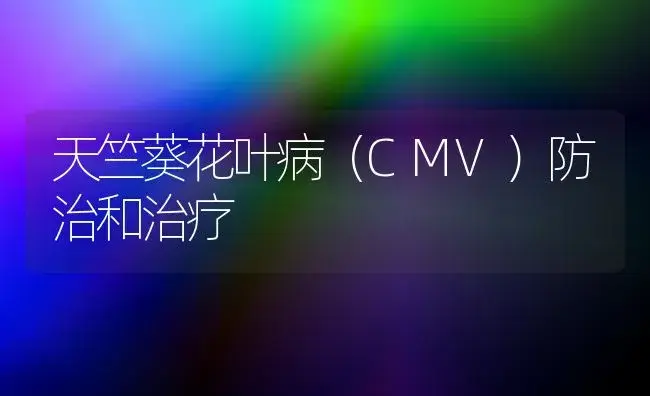 天竺葵花叶病（CMV）防治和治疗 | 家庭养花