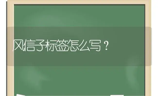 风信子标签怎么写？ | 绿植常识