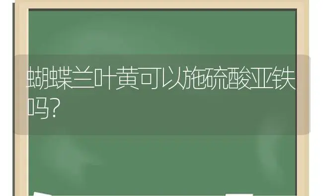 蝴蝶兰叶黄可以施硫酸亚铁吗？ | 绿植常识