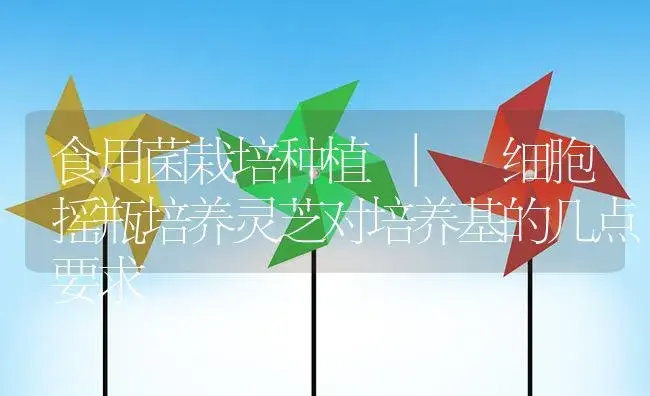 细胞摇瓶培养灵芝对培养基的几点要求 | 菌菇种植