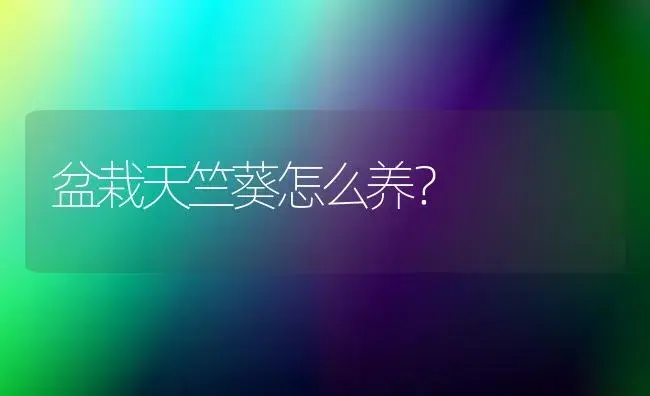 盆栽天竺葵怎么养？ | 家庭养花