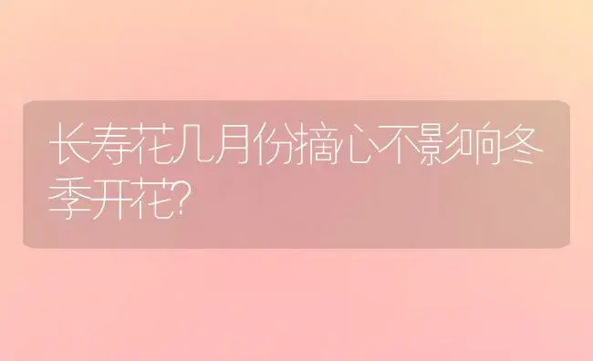 长寿花几月份摘心不影响冬季开花？ | 多肉养殖