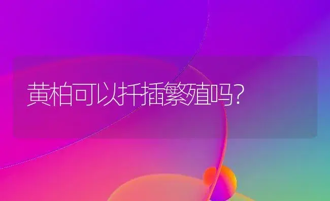 黄柏可以扦插繁殖吗？ | 绿植常识