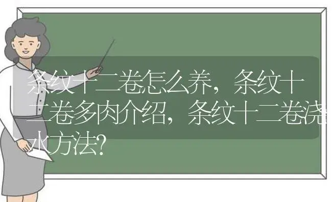 碰碰香碧玉的养殖方法？ | 多肉养殖