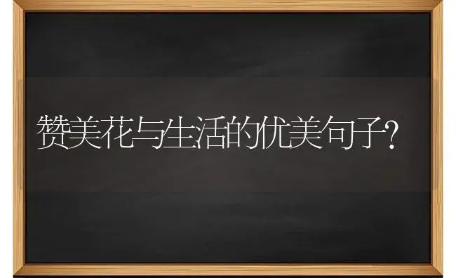 赞美花与生活的优美句子？ | 绿植常识