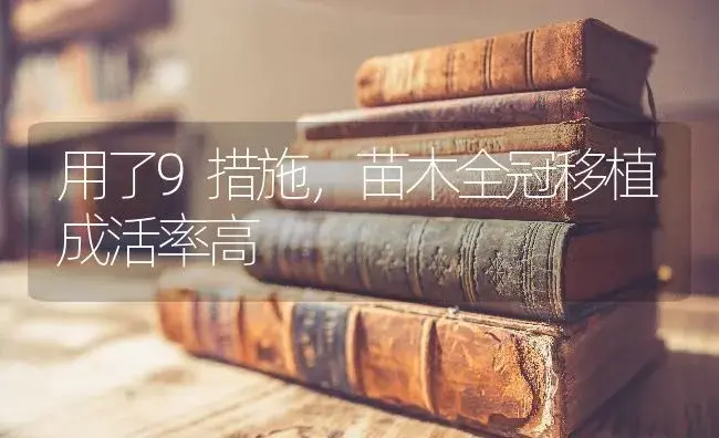 用了9措施，苗木全冠移植成活率高 | 特种种植