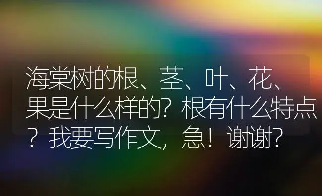 海棠树的根、茎、叶、花、果是什么样的？根有什么特点？我要写作文，急！谢谢？ | 绿植常识