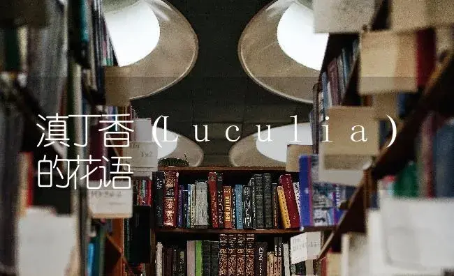 滇丁香（Luculia）的花语 | 特种种植