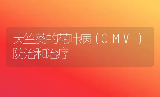 天竺葵的花叶病（CMV）防治和治疗 | 家庭养花