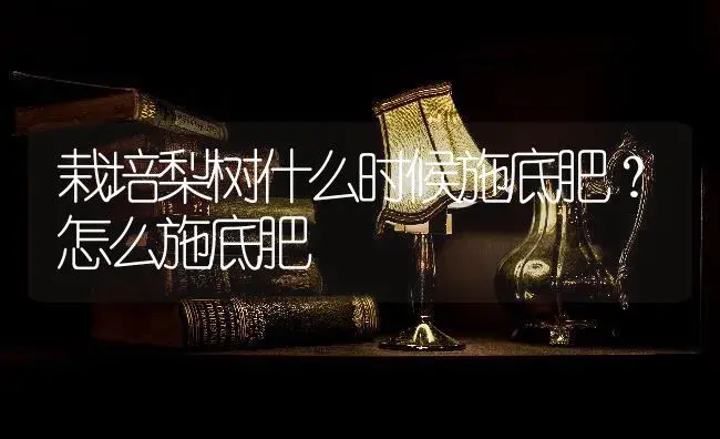 栽培梨树什么时候施底肥？怎么施底肥 | 果木种植