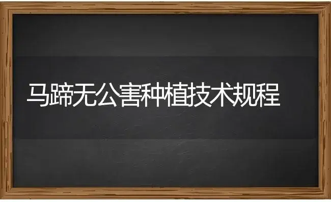 马蹄无公害种植技术规程 | 特种种植