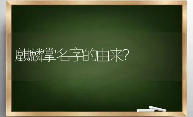 麒麟掌名字的由来？ | 多肉养殖