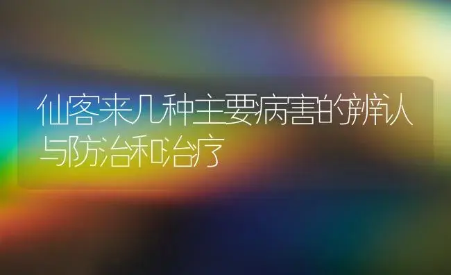 仙客来几种主要病害的辨认与防治和治疗 | 家庭养花