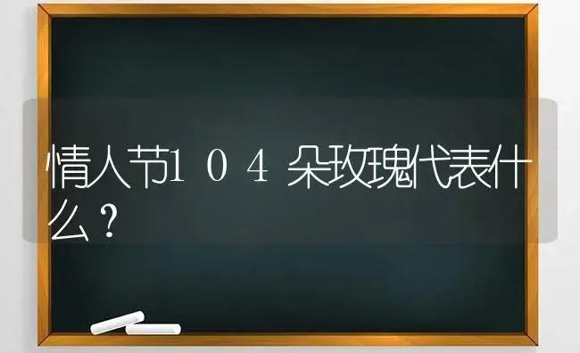 情人节104朵玫瑰代表什么？ | 绿植常识