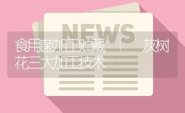 灰树花三大加工技术 | 菌菇种植