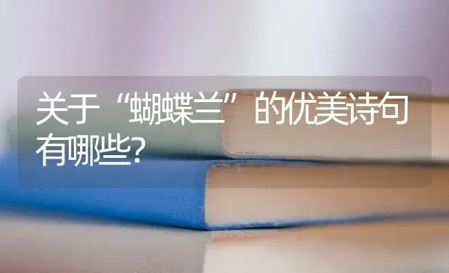 关于“蝴蝶兰”的优美诗句有哪些？ | 绿植常识