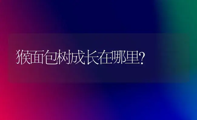 猴面包树成长在哪里？ | 家庭养花