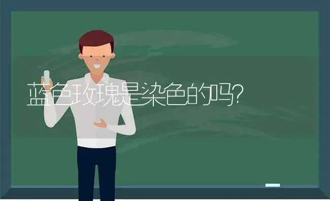 蓝色玫瑰是染色的吗？ | 绿植常识