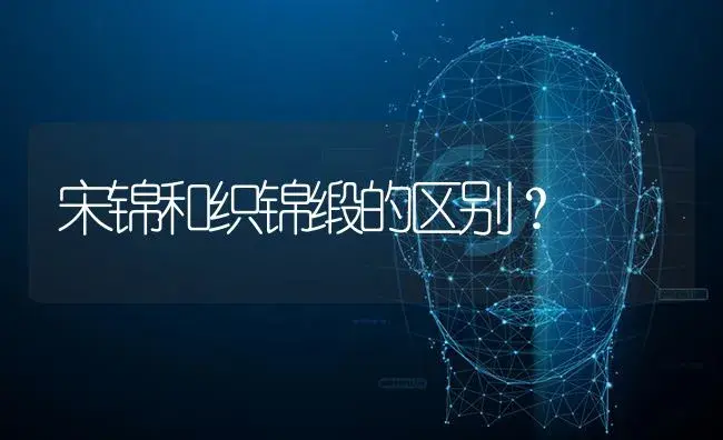 宋锦和织锦缎的区别？ | 多肉养殖