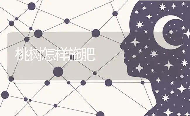 桃树怎样施肥 | 果木种植