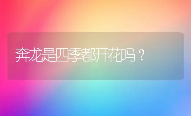 奔龙是四季都开花吗？ | 多肉养殖