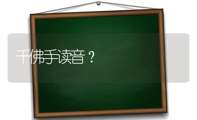 千佛手读音？ | 多肉养殖