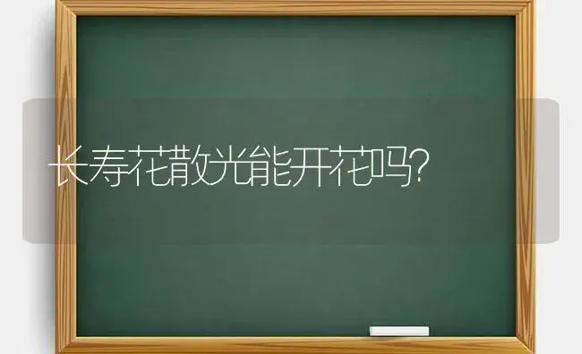 长寿花散光能开花吗？ | 多肉养殖