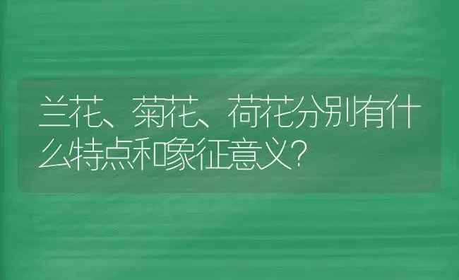 兰花、菊花、荷花分别有什么特点和象征意义？ | 绿植常识