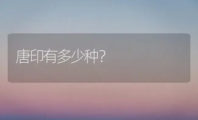 唐印有多少种？ | 多肉养殖