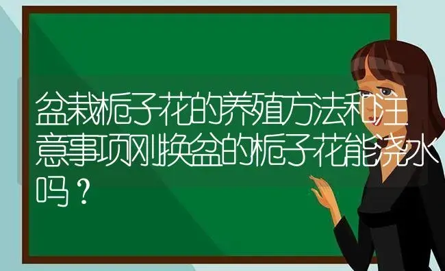 盆栽栀子花的养殖方法和注意事项刚换盆的栀子花能浇水吗？ | 绿植常识